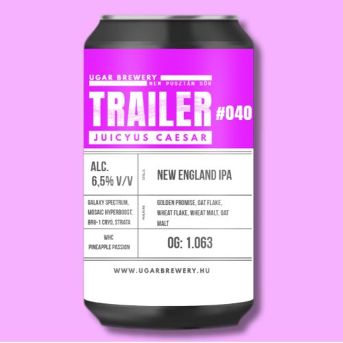 Ugar TRAILER #40 0,33l 6,5%