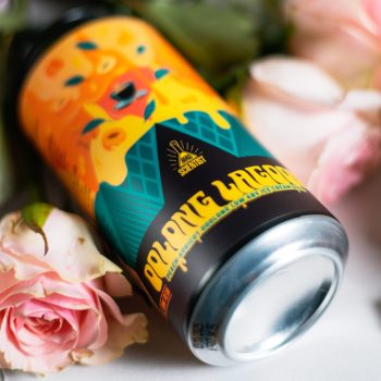   Mad Scientist OOLONG LAGOON Low ABV Ice Cream Smoothie Sour with Peach, Apricot and Oolong tea 2,2% 0,44l