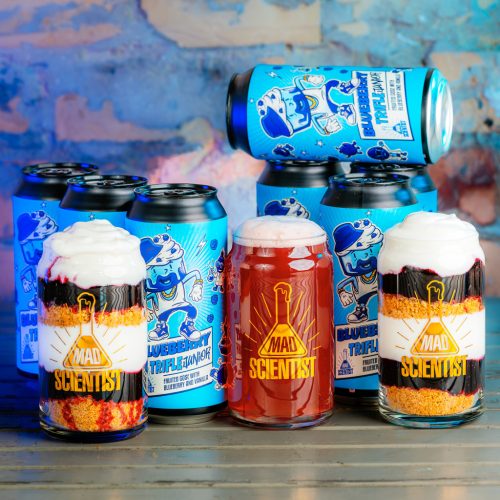 Mad Scientist Blueberry Trifle Junior 0,44l 5,5%