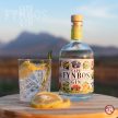 Cape Fynbos Gin Citrus Edition 0,5L 43%